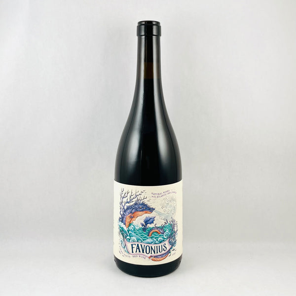 Favonius Tinto 2022