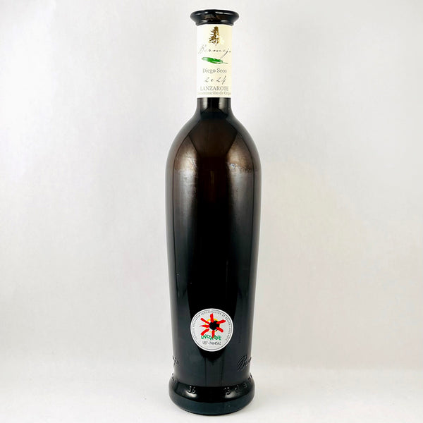 Los Bermejos Lanzarote Diego Seco 2024