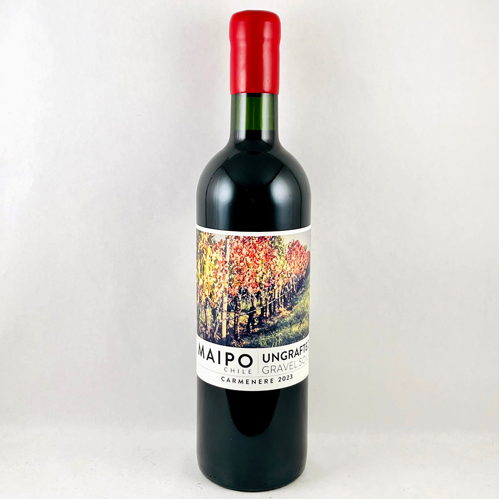 Ungrafted Maipo Carmenere 2023