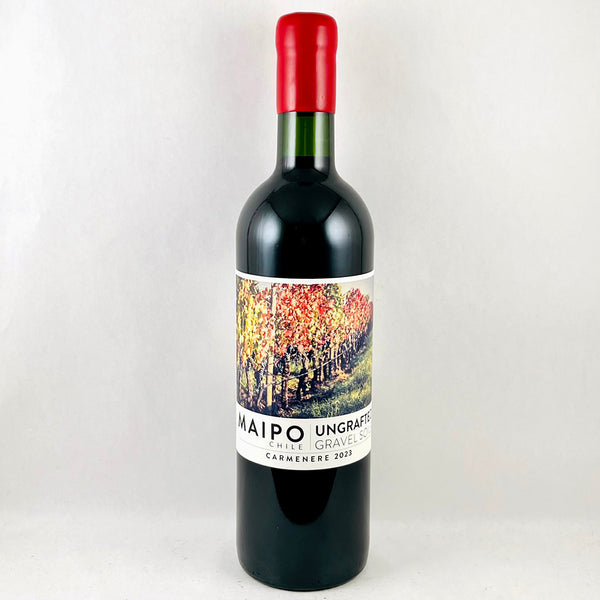 Ungrafted Maipo Carmenere 2023