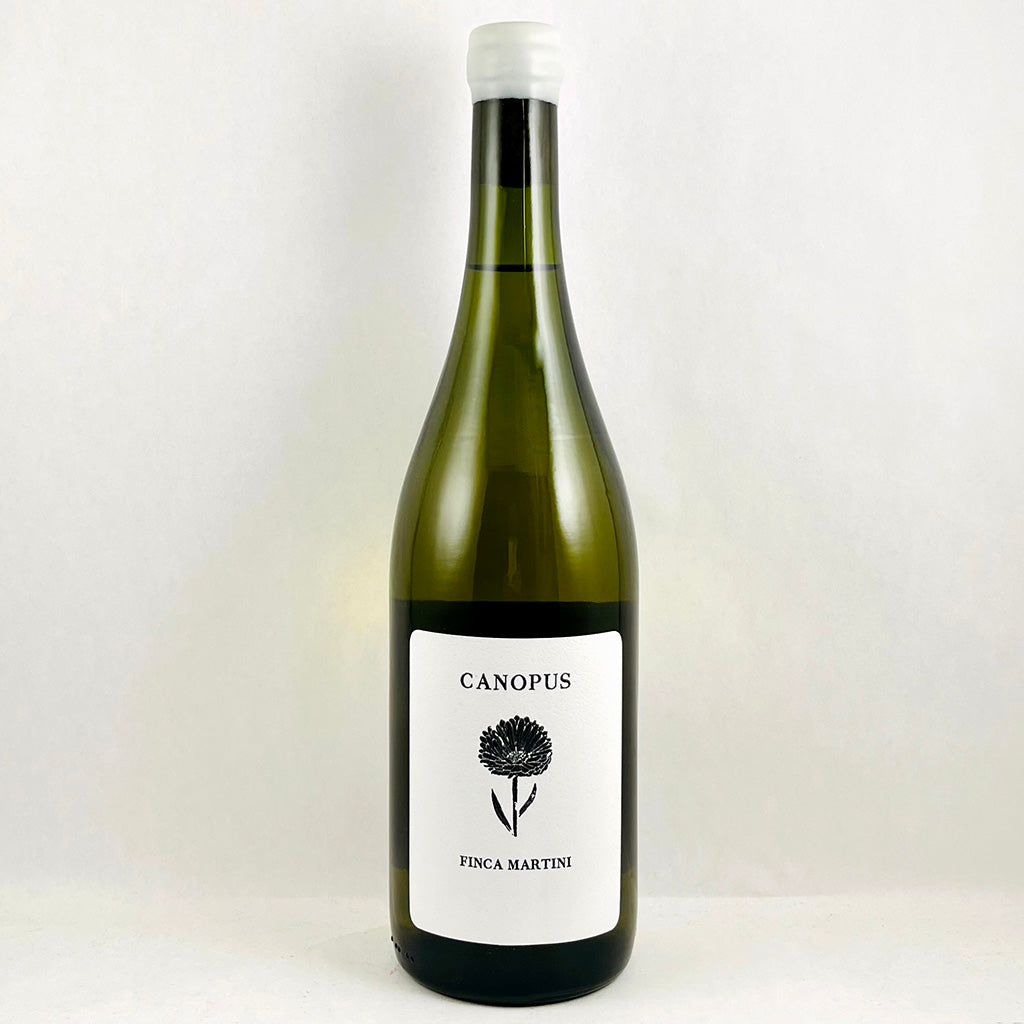 Canopus Blanco 2024