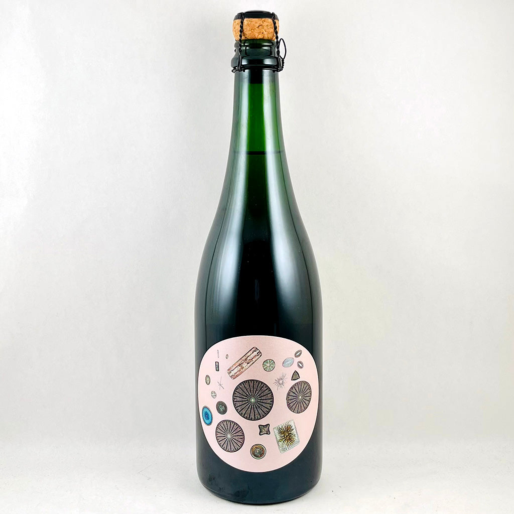 Sandhi Blanc de Noirs Sta. Rita H. 2019