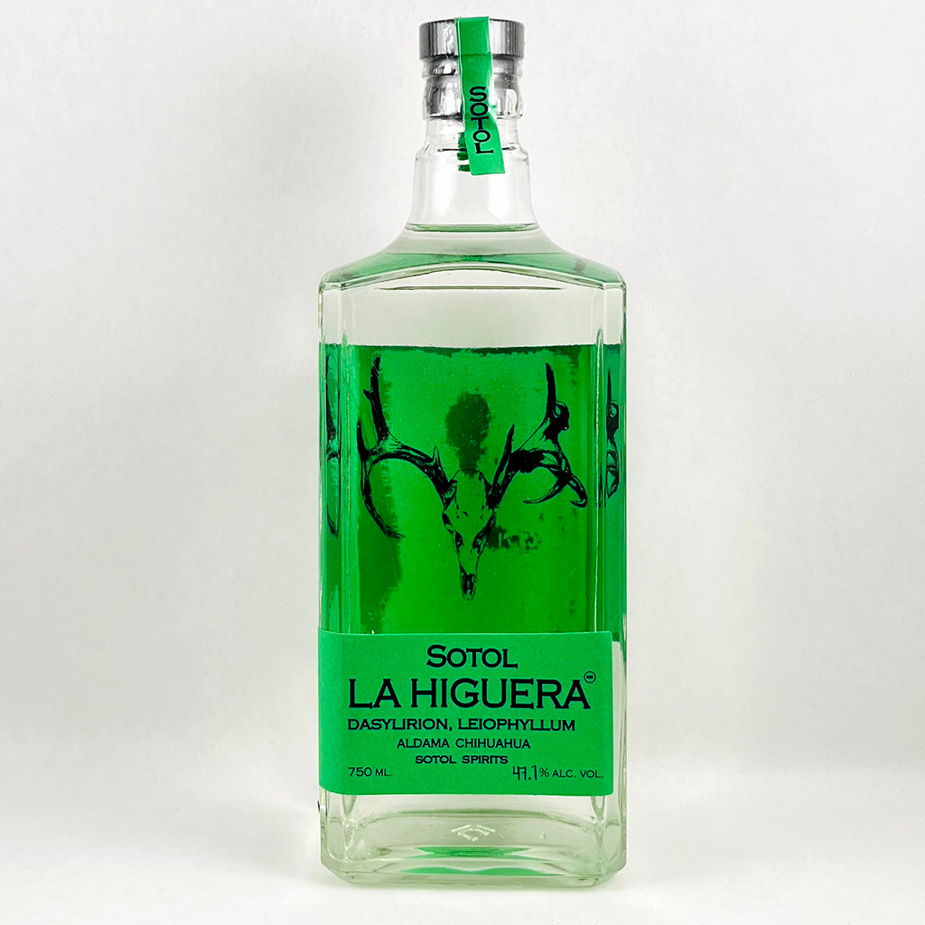Sotol La Higuera Dasylirion Leiophyllum