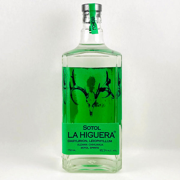 Sotol La Higuera Dasylirion Leiophyllum