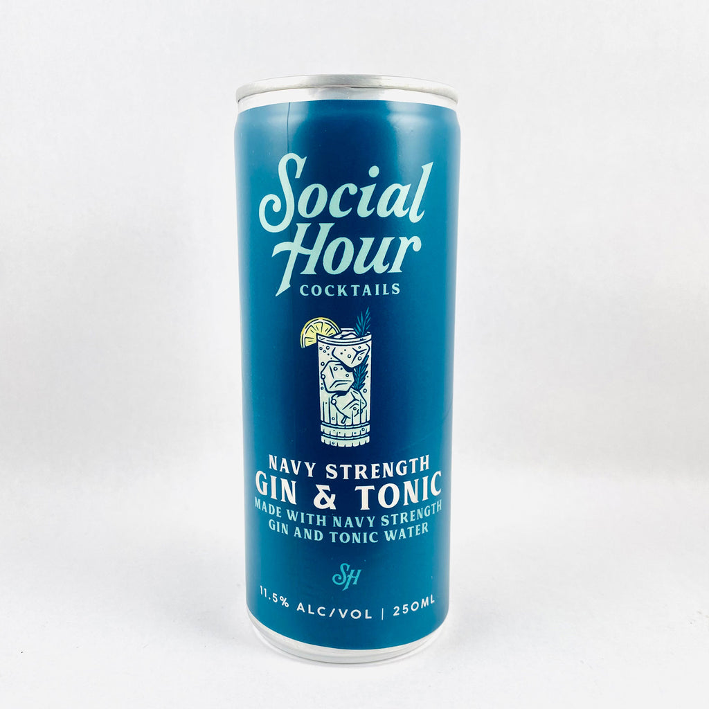 Social Hour Gin & Tonic 250ml Can
