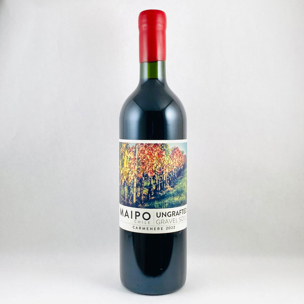 Ungrafted Maipo Carmenere 2022