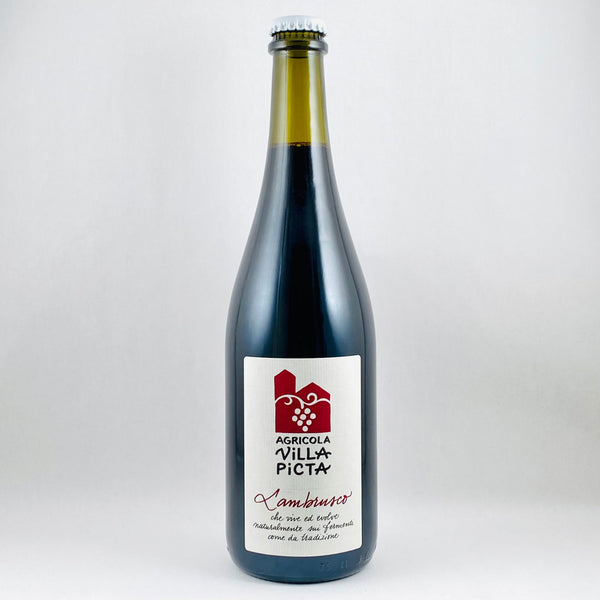 Villa Picta Mantova Lambrusco 2021